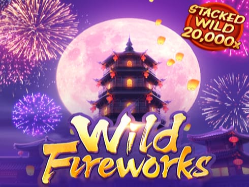 وائلڈ فائر ورکس game screenshot