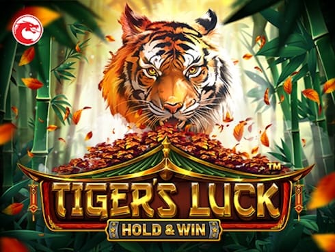 ٹائیگر لک - ہولڈ اینڈ ون game thumbnail